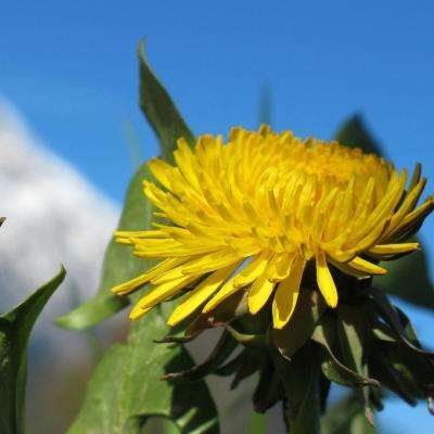 爱游戏下载手机版