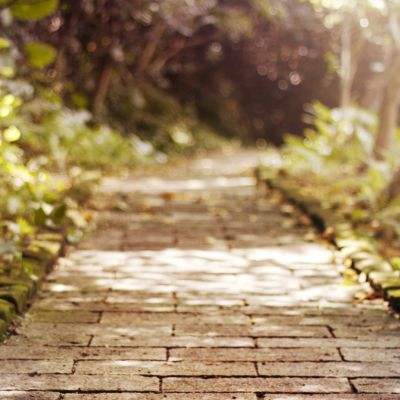 管家婆期期四肖四码中特管家手机app下载